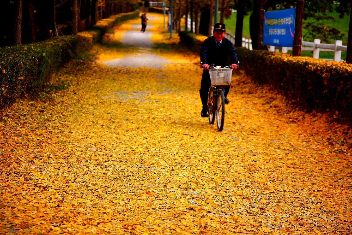 Prize winners – Kim Gimun – Running in Fall